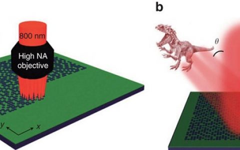 Nat. Commun.：拓扑绝缘体材料助力纳米全息图