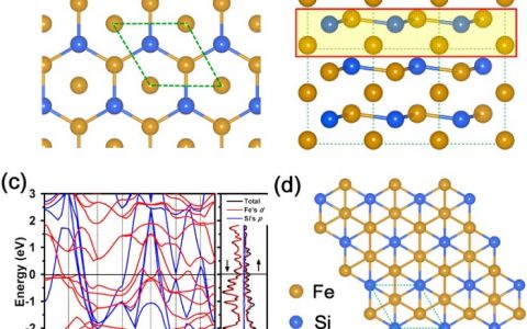 Nano Lett.: 具有增强自旋极化率的2D Fe2Si纳米片的室温铁磁性