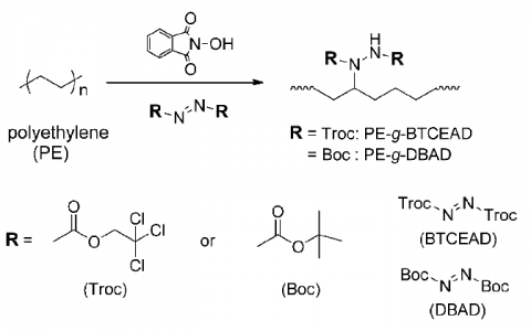 中山大学Macromolecules: 无金属催化直接氨基化聚乙烯