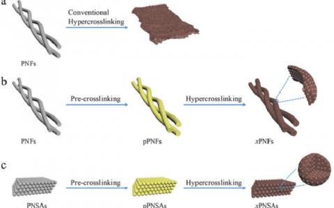 中山大学吴丁财Adv. Mater.：逐步交联—一种简单而多功能的设计理念用于制备纳米形貌可持续的多孔聚合物