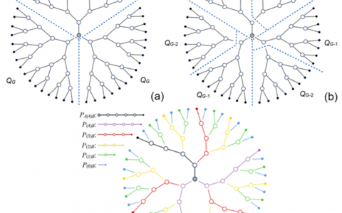 复旦大学Macromolecules: 树枝形链的唤醒动态性质：一种图论算法