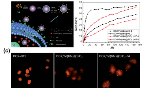 吉林大学杨英威Adv. Mater.：基于金属有机框架材料的药物/物质传递及癌症治疗