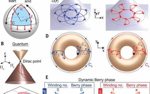Science：基于环形石墨烯谐振器中的几何相位开关