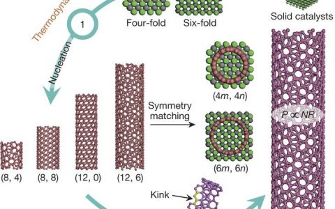 2017年中盘点: 华人学者Nature成果！