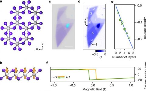 许晓栋Nature: 二维分子晶体铁磁性重大发现！