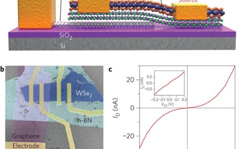 Nature子刊: 可程序化的二维非易失性p-n结