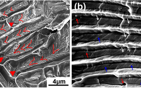Acta Mater.：AlCoCrFeNi2.1共晶高熵合金高强度和高延展性的微观解析