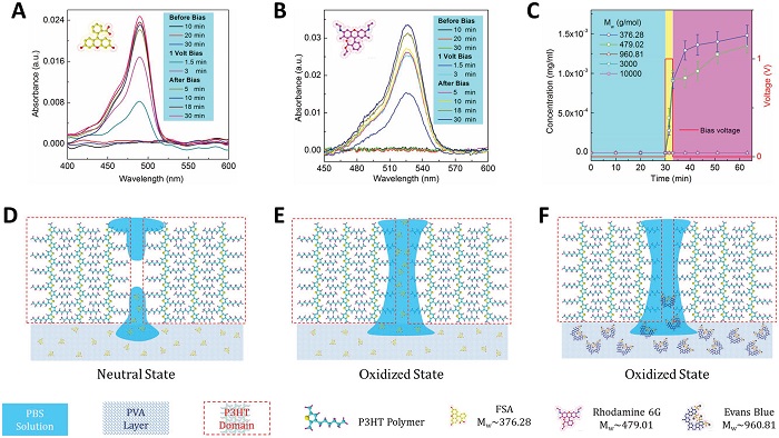 香港理工大学Adv.Mater.:用于电压控制分子释放的共轭聚合物
