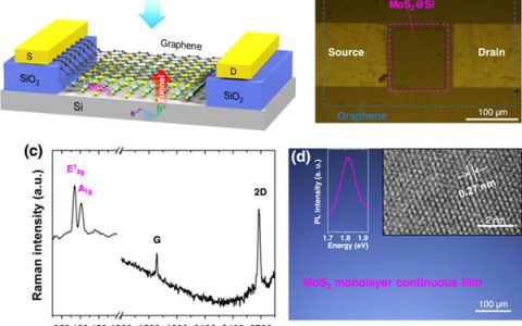 香港中文大学许建斌研究组npj 2D Materials and Applications: 兼具快速度与高增益的石墨烯复合隧穿光电探测器