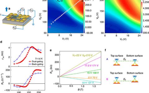 Nature子刊: 三维拓扑绝缘体电子退相干新机制