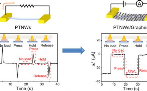 香港中文大学许建斌研究组ACS Nano：可以持续测量压力信号的石墨烯/压电纳米线传感器