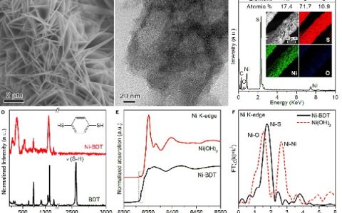 厦大化学化工学院&台湾大学：原位表征技术揭示析氢电催化剂活性中心