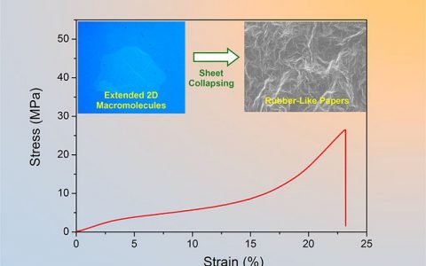 浙大高超教授团队ACS Nano：通过氧化石墨烯片塌缩行为构建类橡胶的高柔性石墨烯膜
