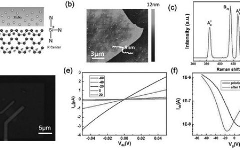 Adv. Funct. Mater.：具有高电子迁移率的场致N掺黑磷用于CMOS二维逻辑电子器件