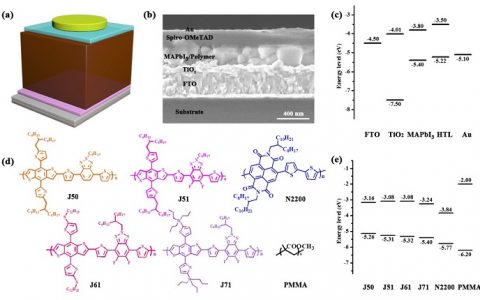 Adv. Energy. Mater. :稳定高效的聚合物掺杂钙钛矿电池