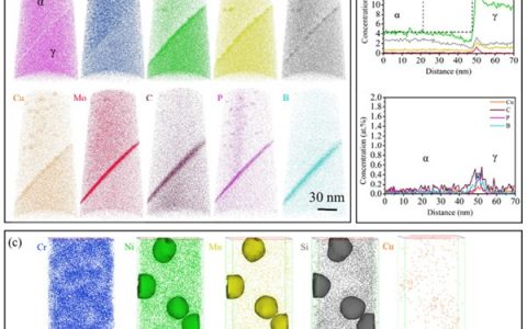 南京理工大学Acta Mater.：双相不锈钢中铁素体相内的非均匀相分离