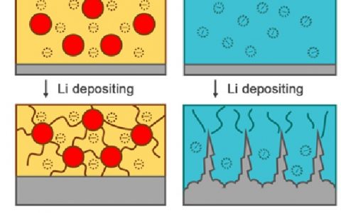 清华大学张强PNAS:  阴离子固定的柔性复合电解质保护金属锂负极