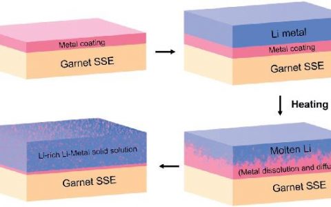 Angew. Chem. Int. Ed. : 锂-石榴石电池中金属界面的瞬态行为