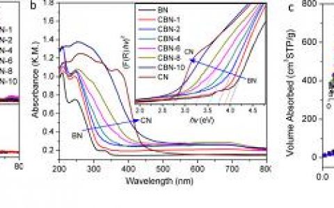 Nano Energy : CN直接生长于多孔h-BN纳米片的异质结构在无金属光催化中的应用