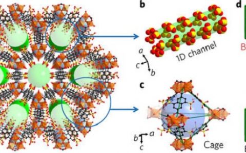李建荣&陈邦林Nature子刊：宽湿度范围下保持高质子传导性的柔性MOF