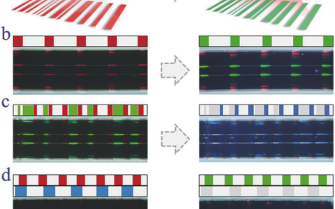 Adv. Mater.： 基于毛细作用，组装彩色条码