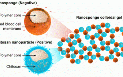 高分子材料前沿研究成果精选【第2期】