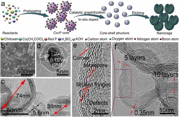 Nano Energy : 高效多功能电催化剂  N,B-共掺杂富缺陷石墨碳纳米笼