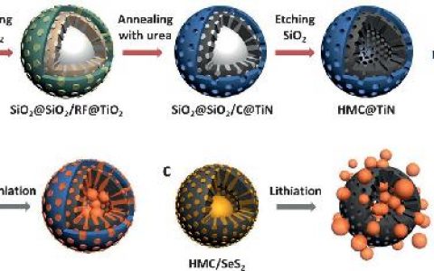 楼雄文Angew. Chem. Int. Ed. : 介孔碳@氮化钛空心球作为高效SeS2载体用于先进Li-SeS2 电池