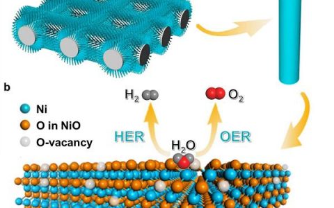 Nano Energy : 氧空位NiO纳米棒阵列用于碱性析氢
