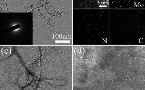 Angew. Chem. Int. Ed. : 单钼原子(Mo-SAs)/N掺杂碳电催化剂的理性设计及其高效催化HER