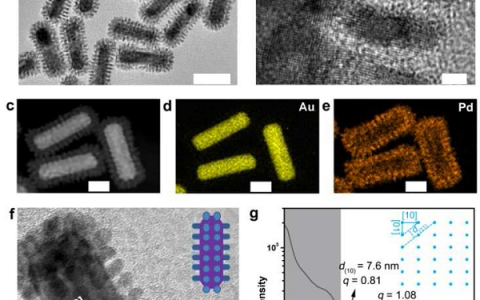 JACS：异质超结构泵浦热电子应用于等离子共振增强催化