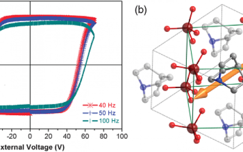Phys.Rev.Lett.：奎宁高铼酸盐中室温铁电性和极化旋转的可视化