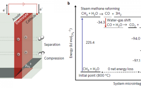 Nat. Energy：几乎没有能量损失的甲烷制氢新方法