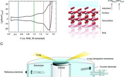 麻省理工学院Energy Environ. Sci.: RuO2催化OER的机制研究