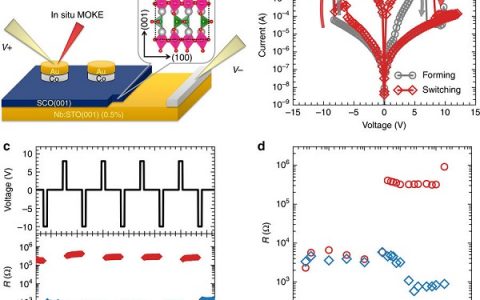清华大学于浦团队Nat. Commun.：奇妙的氧离子栅极实现室温下快速的磁电耦合