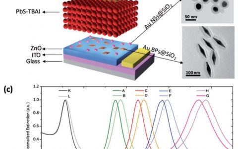苏州大学Adv. Energy Mater. 纳米金双锥和金球协同增强PbS 量子点太阳能电池