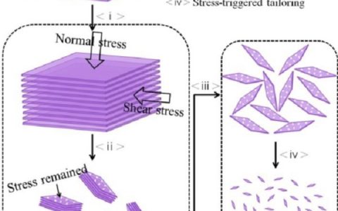 国家纳米中心：本征量子片规模制备研究取得进展