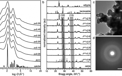 美国西北大学Derk Joester AFM：计算与实验的结合，无定形钙碳酸钡的亚稳定性结构基础