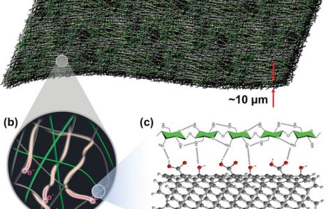 胡良兵团队Adv. Energy Mater.：用于酸性水系电池的碳纳米管-纤维素纳米纤维复合集流体