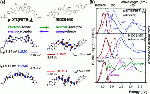 Energy Environ. Sci.: 全小分子太阳能电池的动力学研究