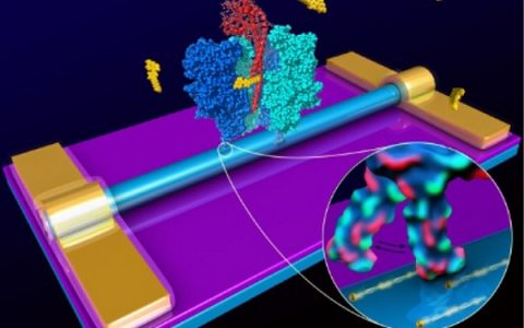 纳米材料前沿研究成果精选【第7期】-硅纳米线