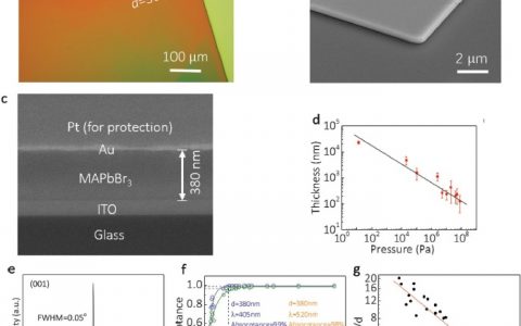 北京大学马仁敏Adv. Mater.：高性能单晶钙钛矿薄膜光电探测器