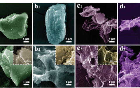 西南大学李长明团队Adv. Energy Mater.: 化学法剥离生物质制备多孔类石墨烯碳材料用于高性能超级电容器