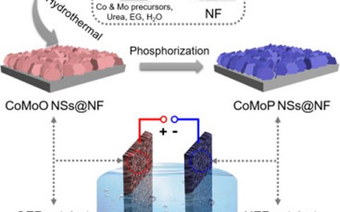 苏州大学黄小青Nano Energy：钴钼纳米片阵列作为高效且稳定的电极催化剂，用于整体水分解