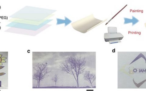 Nat. Commun.：用于多色喷墨可复用纸中的活性金属配体配合物的研究