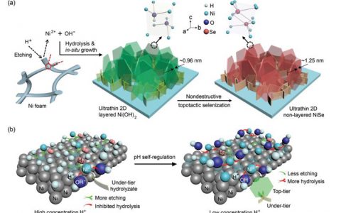 催化材料前沿研究成果精选【第4期】