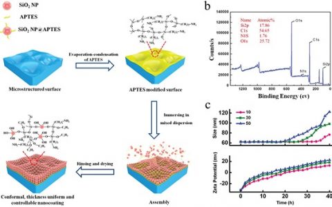 Adv. Mater.: 微结构表面厚度均匀、可控的共形纳米涂层的构筑