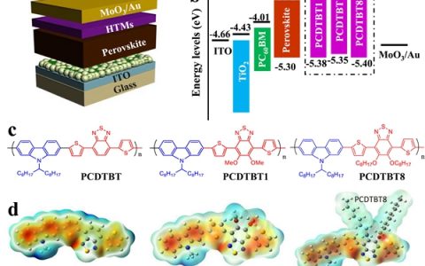 武汉理工大学Nano Energy：钙钛矿太阳能电池中实现高效空穴传输及缺陷钝化的共轭高分子空穴传输层