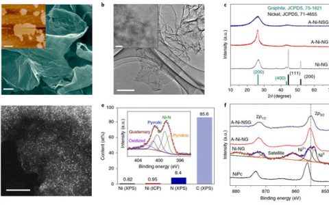 中科院大连化物所张涛院士Nature Energy：原子分散Ni（I）作为CO2还原反应的活性位点