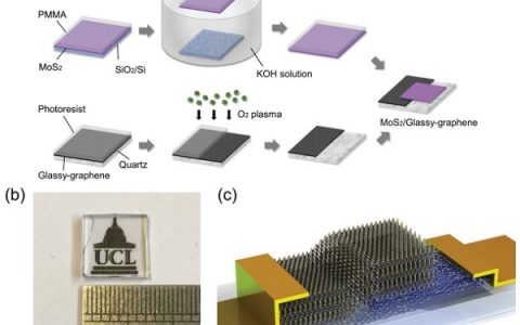 伦敦学院大学刘会赟-巫江研究团队和苏州大学邹贵付研究团队合作开发的高性能二硫化钼/玻璃-石墨烯堆叠异质结光电探测器